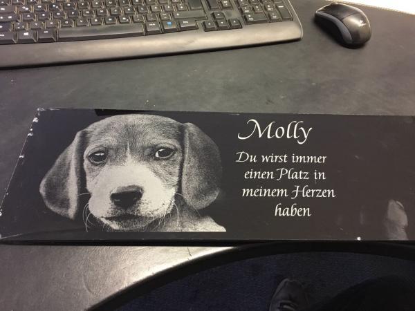 Zum Vergrößern bitte anklicken.